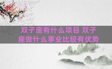双子座有什么项目 双子座做什么事业比较有优势